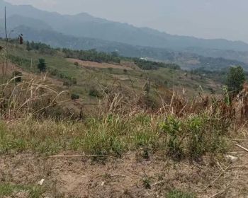 Dijual murah tanah di Pabuaran suka makmur dekat puncak