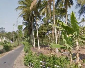 JUAL TANAH HOOK TALUN BLITAR