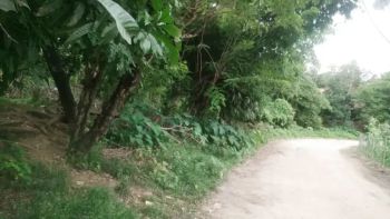 Jual tanah luas murah belakang kawasan industri Delta Mas