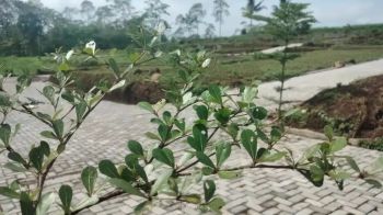 Investasi kavling tanah SHM