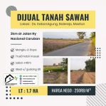 thumbnail-tanah-luas-ideal-untuk-perumahan-di-kebonagung-balerejo-madiun-0