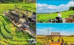 thumbnail-100-m-kopi-ampirono-jogja-tanah-cocok-hunian-pun-wisata-6