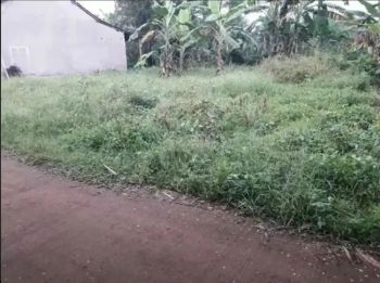 Tanah cantik luas 200m² jual cepat