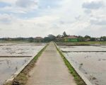 thumbnail-dijual-murah-tanah-sawah-produktif-di-kutawaluya-karawang-0