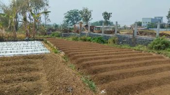 Tanah Siap Bangun Malang Cocok Bangun Hunian Dekat Kampus UB