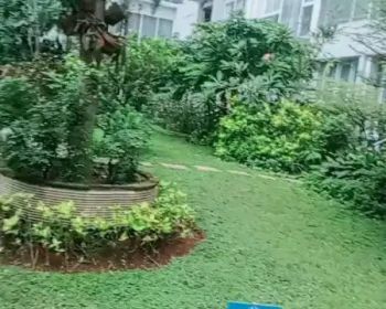 Sewa Apartemen pertahun/Perbulan