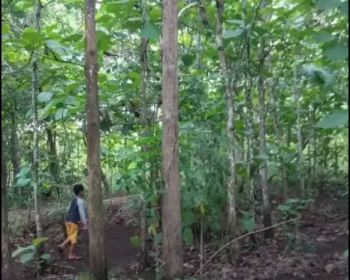 Sell Tanah: Tanah murah dan luas