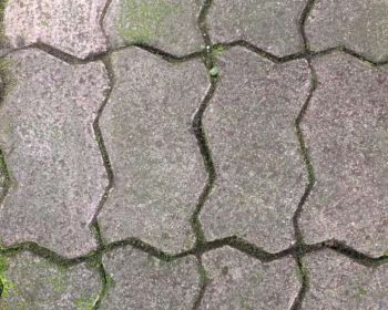 Disewakan lapak jualan di Foodcourt dekat de Tjolomadoe