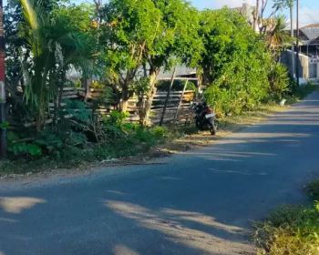 ( DM#04 ) Tanah 500 m2, Kampus Udayana, Jimbaran