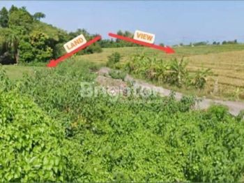 Jual Tanah 77 Are Dekat Pantai Pererenan Mengwi Badung