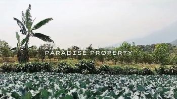 Dijual Tanah Perkebunan di Kota Batu