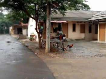 Kontrakan cakep 7 pintu SHM samping cbd cibubur