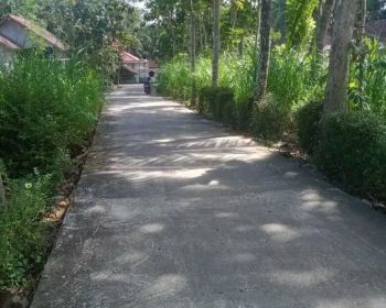 DI JUAL TANAH MURAH DAN STRATEGIS DI PANJATAN KULON PROGO