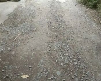 Tanah pekarangan murah di garongan panjatan kulon Progo di jual murah