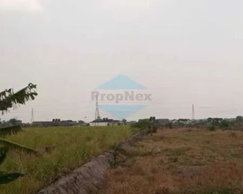 PAHLAWAN MUBIN.Wedoroanom.JUAL CPT