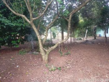 Tanah Luas Turun Harga Citayem