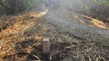 Sell Tanah: Tanah 300 M2 SHM