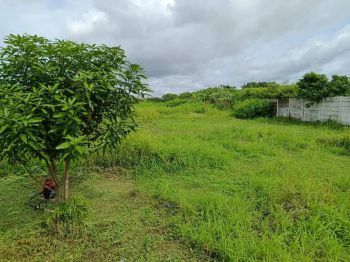 Dijual Termurah Tanah Industri dalam komplek pergudangan arah dadap