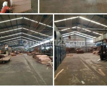 Gudang pengolahan kayu plywood ngoro mojokerto siap pakai dengan ijin ekspor