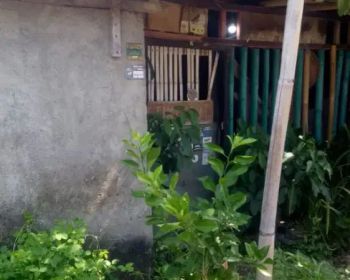 Tanah bonus bangunan lama dg luas tanah 72m2 di dalung permai