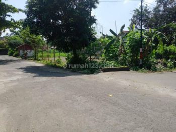 Tanah Kavling Sleman, Harga Murah Akses Jalan Aspal