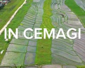 TANAH DEKAT PANTAI CEMAGI CANGGU VIEW SUPER KEREN