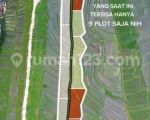 thumbnail-tanah-dekat-pantai-cemagi-canggu-view-super-keren-12