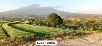 Dijual murah Tanah Batu Temas, Luas tanah 120