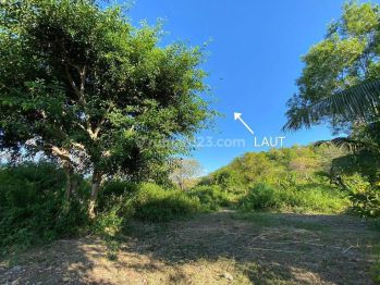 TANAH TEGALAN/DI ATAS BUKIT lt 95 are. VIEW LAUT. BAGUS BANGET. JUAL CEPAT