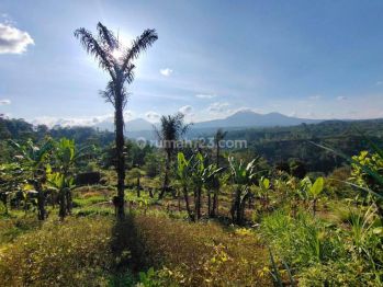 Dijual Tanah  view di gunung Batukaru sungai ayung  Dan Sunset