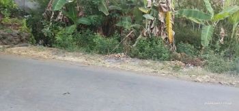 Tanah Pekarangan depan Jalan aspal