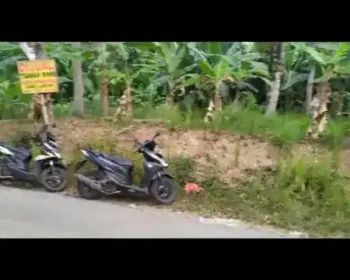 Tanah kebun/tanah adat