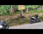 thumbnail-tanah-kebuntanah-adat-1