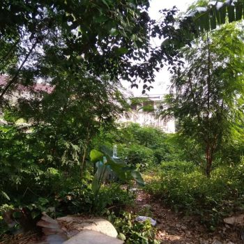 Tanah murah 15juta permeter di kebayoran lama jakarta selatan