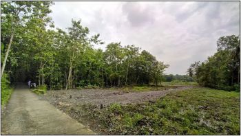 Kawasan Industri Sentolo Kulon Progo, Rekomendasi Bisnis Kost