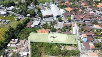 Best Deal - Tanah di jantuk angsa Pererenan canggu