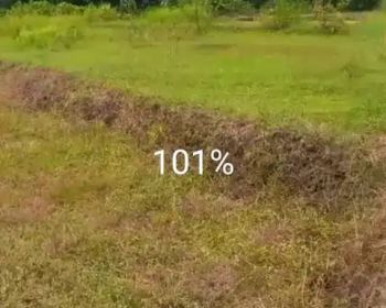 DIJUAL SAWAH DI NGRANCANG PLESUNGAN DEKAT TANAH ELSHADAY