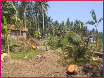 Jual Tanah Jl. Temon - Kokap Kulon Progo Dekat Pasar Jombokan