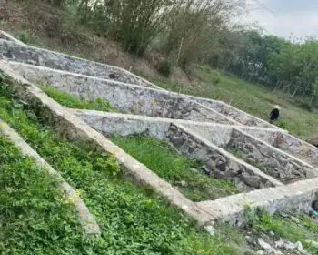 D jual tanah dan mobil