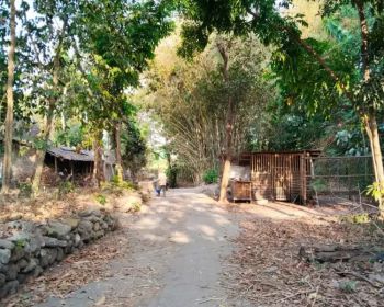 Di jual tanah pekarangan murah di jl Kaliurang km 13