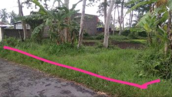 Dijual Murah Sawah Tegalan dekat MIROTA BATIK & Raminten JakalJK11597