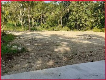 Tanah Sentolo Kulon Progo Dekat RS. Queen Lathifa