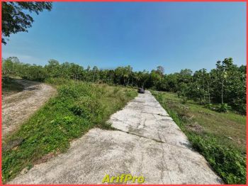 Jual Tanah 170 Jtan Dekat Bandara Baru Jogja, Siap AJB