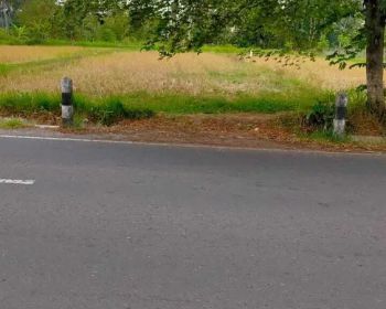 Tanah Dijual Dekat Kampus UII Terpadu Ponpes Pandanaran