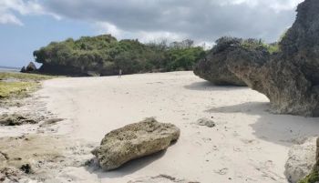 Dijual Murah Tanah Loss Pantai Halete Sumba Barat Daya