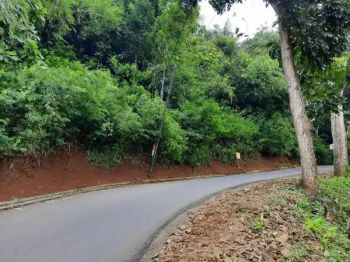 DIJUAL CEPAT Tanah Kebun di Pinggir Jalan (Di samping Perumahan)