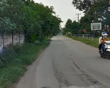 Dijual cepat tanah Cisauk maloko