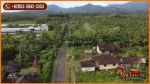 thumbnail-tanah-kebun-dengan-view-gunung-64600-m2-di-jembrana-7