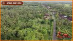 thumbnail-tanah-kebun-dengan-view-gunung-64600-m2-di-jembrana-6