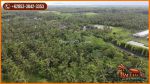 thumbnail-tanah-kebun-dengan-view-gunung-64600-m2-di-jembrana-5